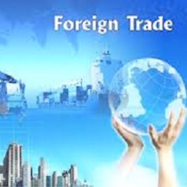 Foreign trade development advisory.