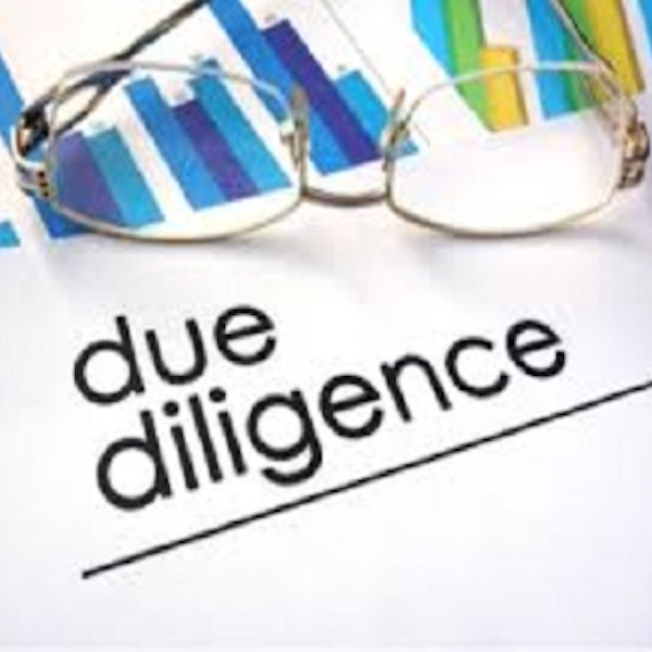 Due Diligence