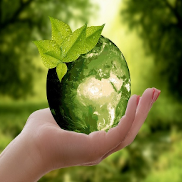 Sustainability Reporting