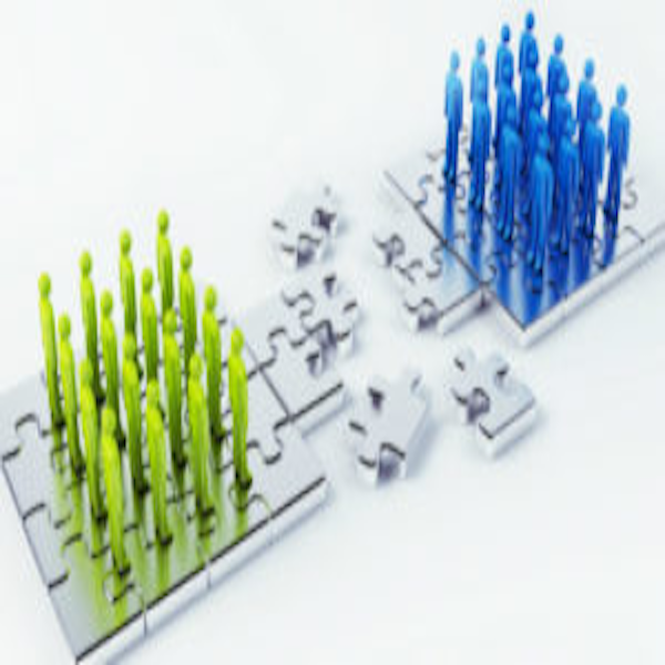Corporate Re-structuring  &  Financing