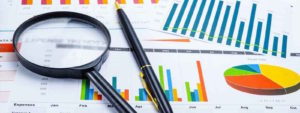 DUE DILIGENCE , FEASIBILITY STUDIES
