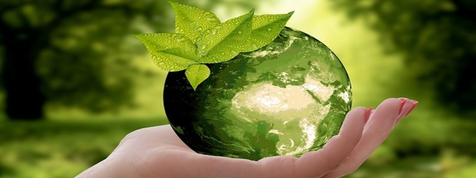 SUSTAINABILITY REPORTING